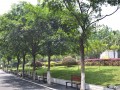 重庆市光华女子学校校园风景