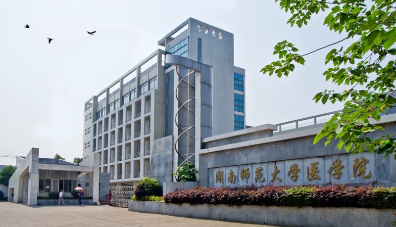 湖南师范大学医学院2019年有哪些专业