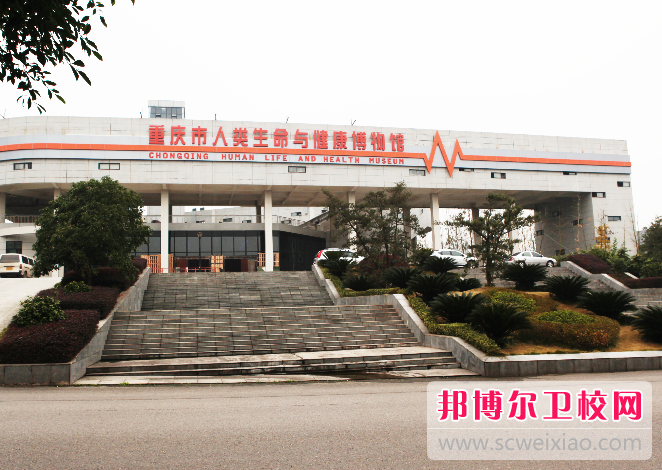 重庆医科大学2022年有哪些专业