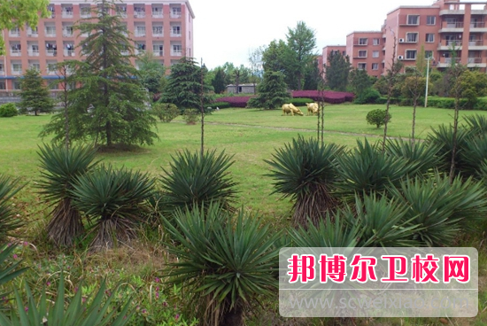 湖北省京山卫生学校全国排名如何（2009~2018）