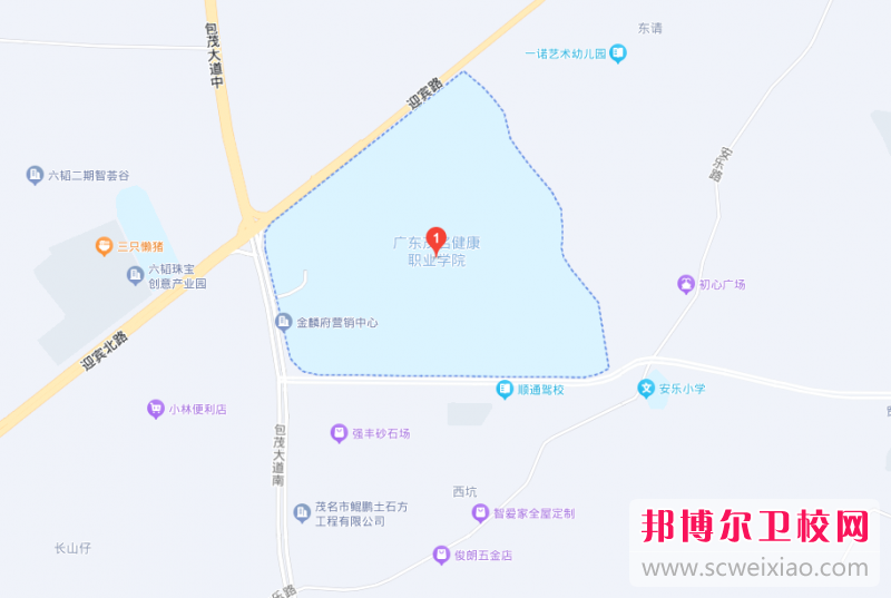 广东茂名健康职业学院地址在哪里，哪个地区，哪个城市?