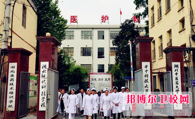 2023武汉民办卫生学校有哪些 武汉民办卫生学校名单一览表