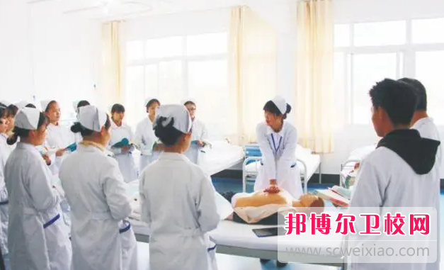 四川2023年公办护理学校有哪些