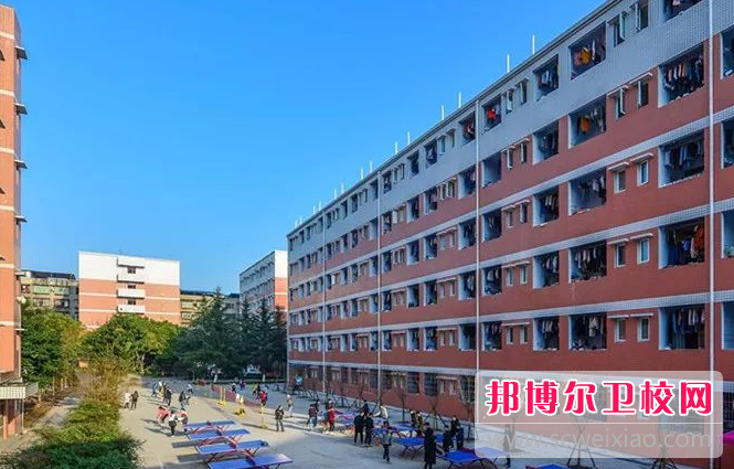 四川2023年公办的护理学校
