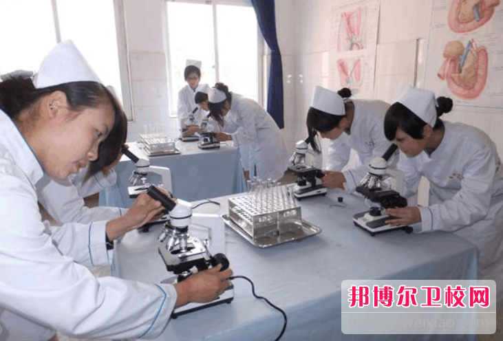 贵州2023年护理学校里面都有哪些专业