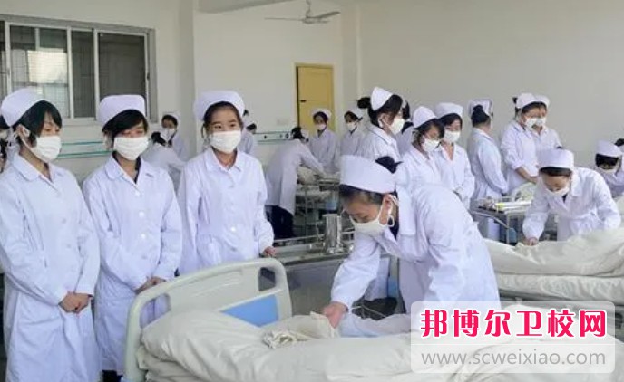 湖南2024年护理学校都有哪些专业