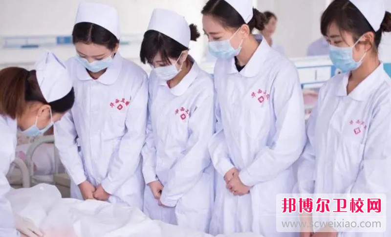 湖南2024年读护理学校学什么技术好